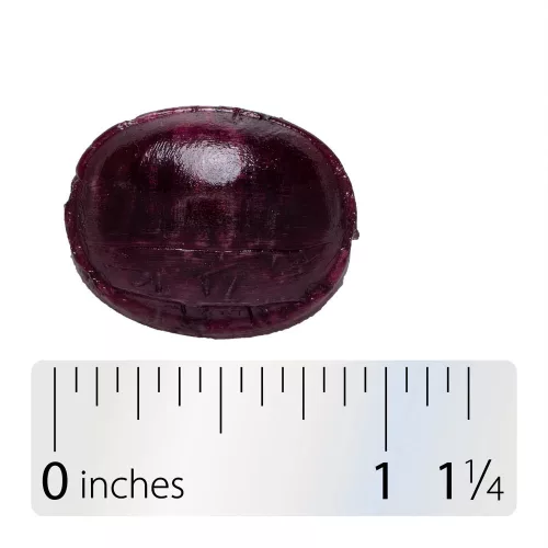 Nature's Way Sambucus Immune Természetes Szopogató Tabletta 24 szopogatótabletta