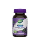Nature's Way Sambucus Zero Sugar Immune Gummy 50 Gumicukor