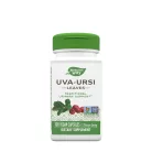 Nature's Way Uva Ursi Leaves 100 Kapszula