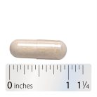 Nature's Way Vitamin C with Bioflavonoids 250 Kapszula