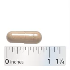 Nature's Way Wild Yam Root 180 Kapszula