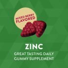 Nature's Way Zinc Gumicukor 120 Gumicukor