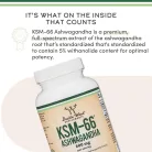 Double Wood Supplements KSM-66 Ashwaganda 600 mg 120 Kapszula