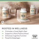 Double Wood Supplements KSM-66 Ashwaganda 600 mg 120 Kapszula