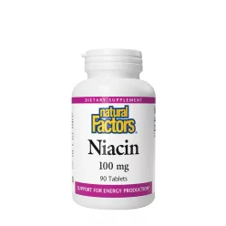 Natural Factors Niacin 100 mg 90 Tabletta