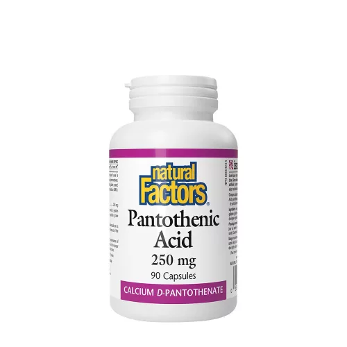 Natural Factors Pantoténsav 250 mg 90 Kapszula