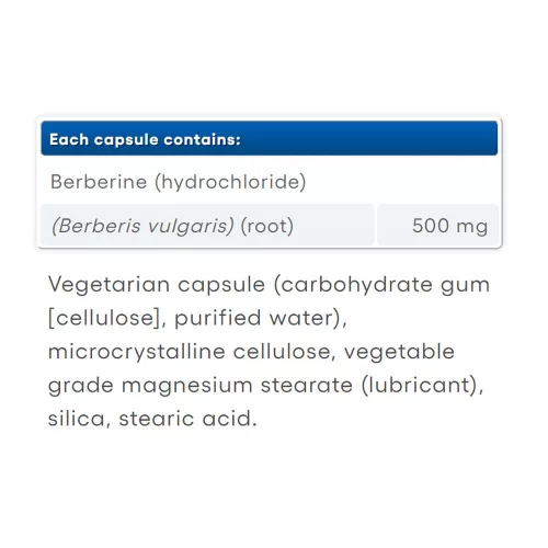 Natural Factors WellBetX Berberine 500 mg 120 Kapszula