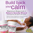 Natural Factors Magnesium Bisglycinate Pure 200 mg 290 g