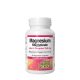 Natural Factors Magnesium Bisglycinate 100 plus L-Theanine 250 mg 90 Kapszula