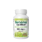 Natural Factors Berberine LipoMicel Matrix - 500 mg Berberine 60 Lágykapszula
