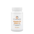 Vitaworld Vitamin D3 4000 NE 100 Kapszula