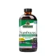Nature's Answer Sambucus Original - Fekete Bodza 480 ml