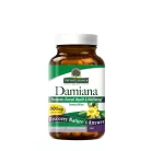 Nature's Answer Damiana Leaves - Damiana Levelek 90 Kapszula