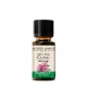 Nature's Answer Clove Oil - Szegfűszeg Olaj 15 ml