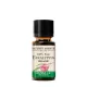 Nature's Answer Organic Eucalyptus -  Eukaliptusz Olaj 15 ml