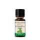 Nature's Answer Organic Patchouli - Bio Pacsuli 15 ml