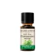 Nature's Answer Organic Peppermint - Bio Borsmenta 15 ml