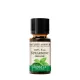 Nature's Answer Organic Spearmint - Bio Fodormenta 15 ml