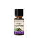 Nature's Answer Organic Alpine Fresh - Bio Alpesi Frissesség 15 ml