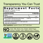 Nature's Answer Ginger Extract - Gyömbér Gyökér Kivonat 30 ml