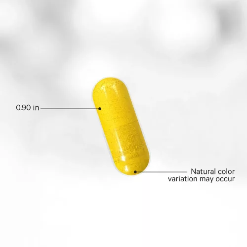 Codeage Berberine Phytosome+ - Berberin Fitozóma+ 60 Kapszula