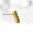 Codeage Fermented Digestive Enzymes+ - Fermentált Emésztőenzimek+ 90 Kapszula