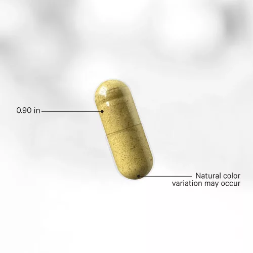 Codeage Fermented Digestive Enzymes+ - Fermentált Emésztőenzimek+ 90 Kapszula