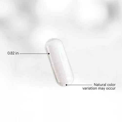 Codeage GLP-1 Probiotic+ - GLP-1 Probiotikum+ 90 Kapszula
