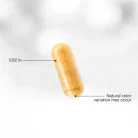 Codeage Liposomal CoQ10 MAX - Liposzómás CoQ10 MAX 60 Kapszula