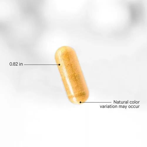 Codeage Liposomal CoQ10 MAX - Liposzómás CoQ10 MAX 60 Kapszula