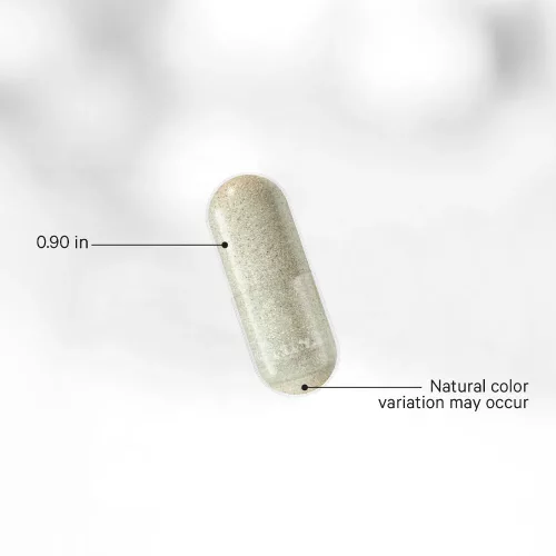 Codeage Liposomal Ovarian Inositol+ - Liposzómás Inozitol+ 120 Kapszula