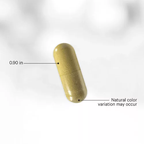 Codeage Men's Daily Multivitamin+ - Multivitamin Férfiaknak 120 Kapszula