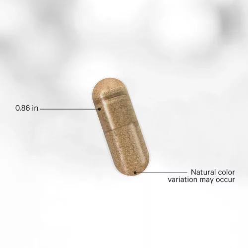 Codeage Raw Vitamin B-Complex - B-vitamin Komplex 60 Kapszula