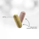 Codeage SBO Probiotic+50 Billion CFUs - SBO Probiotikum+ 50 Milliárd CFU 90 Kapszula