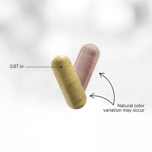 Codeage SBO Probiotic+50 Billion CFUs - SBO Probiotikum+ 50 Milliárd CFU 90 Kapszula
