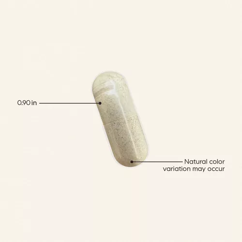 Codeage Women's Multivitamin 50+ - Női Multivitamin 50+ 90 Kapszula