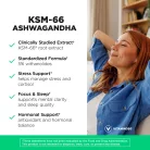 Vitamin360 KSM-66 Ashwagandha® - India Ginzeng 120 Kapszula