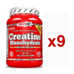 Amix Creatine Monohydrate Powder 9x1000 g