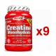 Amix Creatine Monohydrate Powder 9x1000 g