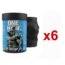 Zoomad Labs One Raw Creatine 6x300 g