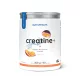 Nutriversum Creatine+ Sugar Free 300 g Mango Maracuja