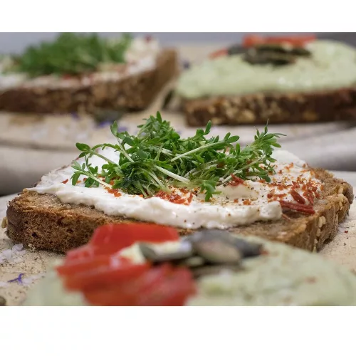 ForPro Bread Carrot Protein  9x250 g