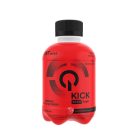 Qnt Kick - Focus & Power Zero Sugar 250 ml