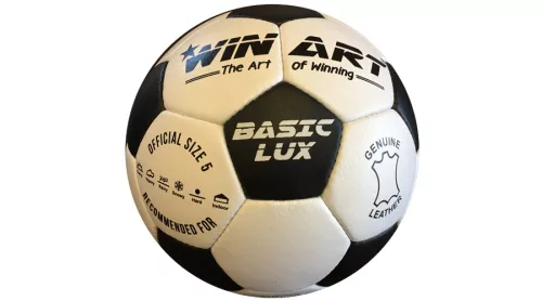 Winart Bőr focilabda, 5-s méret WINART BASIC LUX