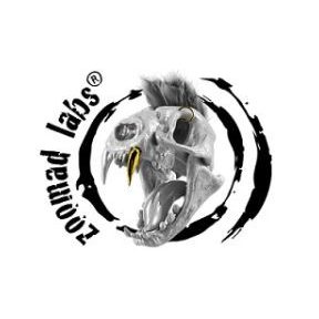 Zoomad Labs