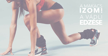 A Makacs izom… A Vádli edzése