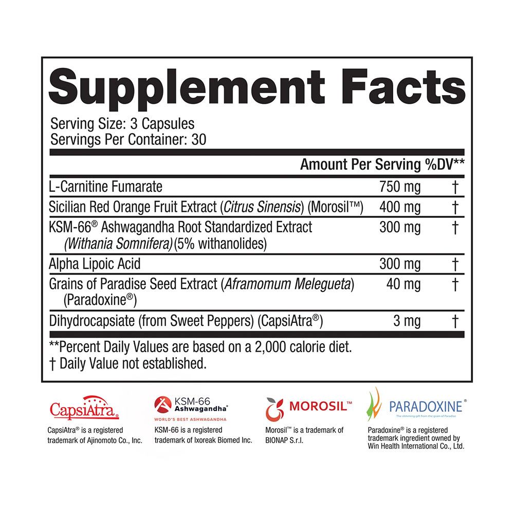 STEELFIT - STEEL CORE VISCELAR FAT METABOLIZER - METABOLIKUS ZSÍRÉGETŐ - 90 KAPSZULA