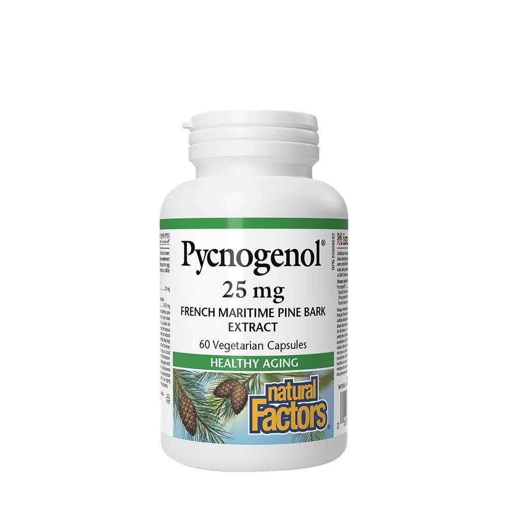 NATURAL FACTORS - PYCNOGENOL 25 MG PINE BARK EXTRACT - 60 KAPSZULA NATURAL FACTORS - PYCNOGENOL 25 MG PINE BARK EXTRACT - 60 KAPSZULA