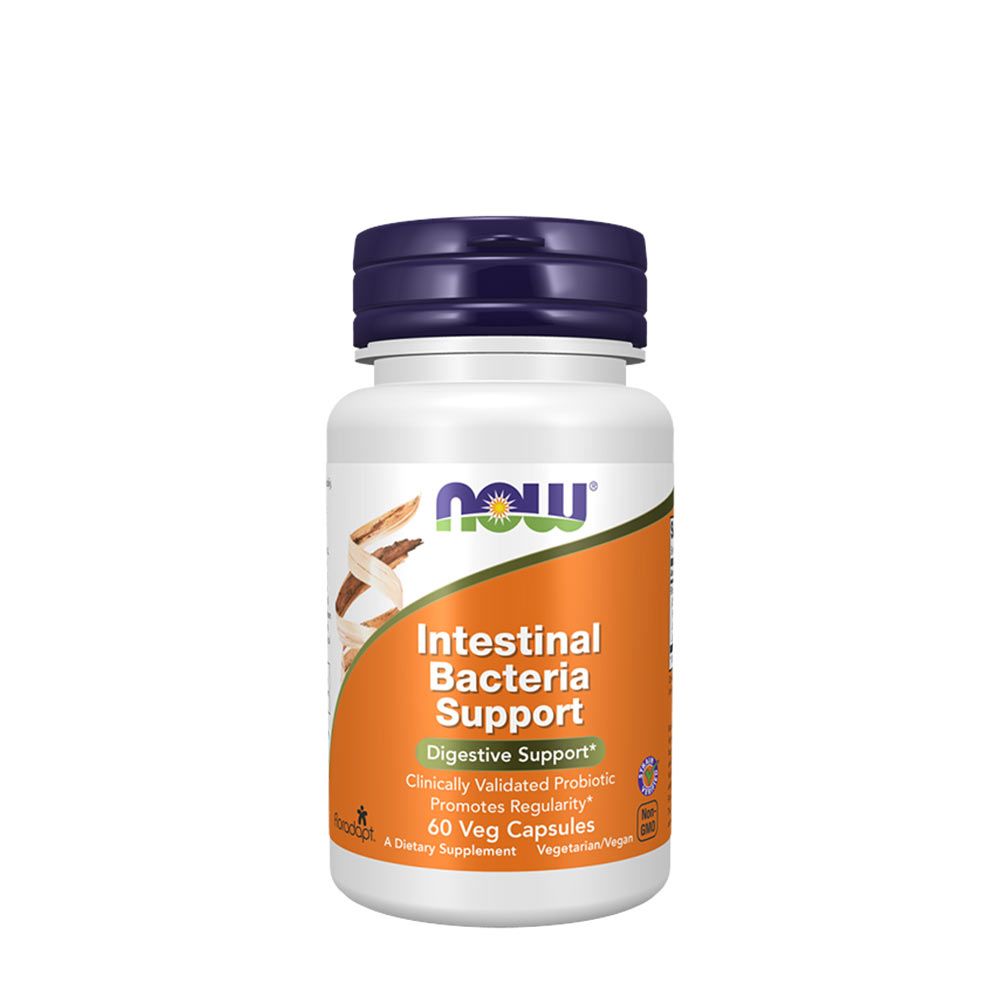 NOW - INTESTINAL BACTERIA SUPPORT - 60 KAPSZULA NOW - INTESTINAL BACTERIA SUPPORT - 60 KAPSZULA
